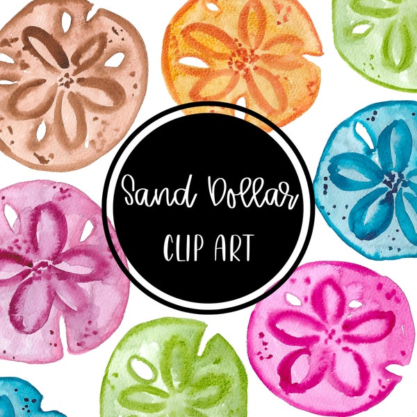 Sand Dollar Clip art Watercolor Handpainted Digital Clipart Cards Download Free Commercial Use PNG