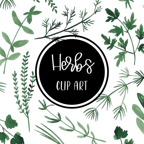 Herbs Clip art Dill Rosemary Thyme Parsley Sage Marjoram Mint Oregno Cilantra Watercolor Digital Download Free Commercial Use PNG