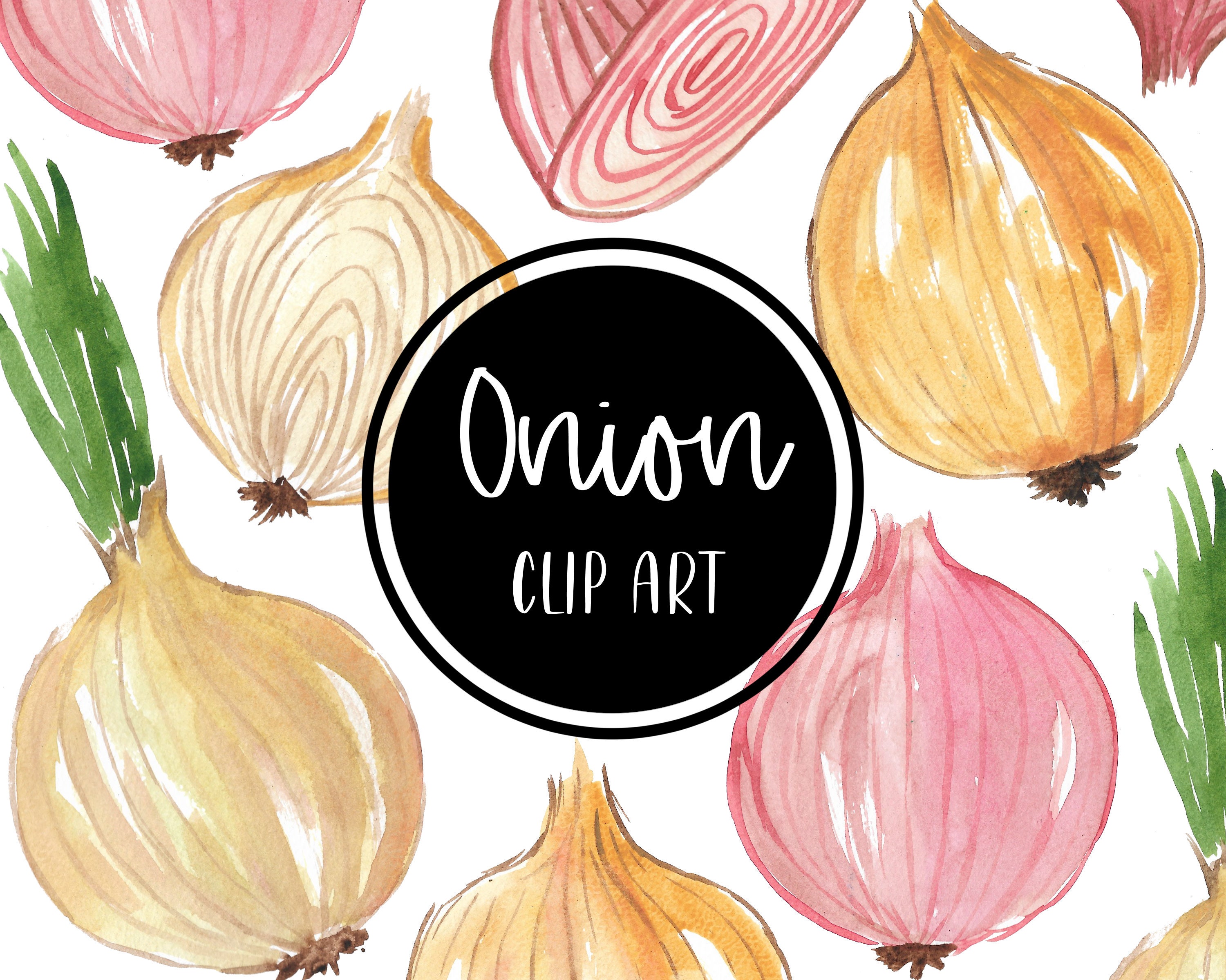 Shallots Watercolor Clipart, Watercolor, Vegetable, Hand Drawn PNG  Transparent Image and Clipart for Free Download