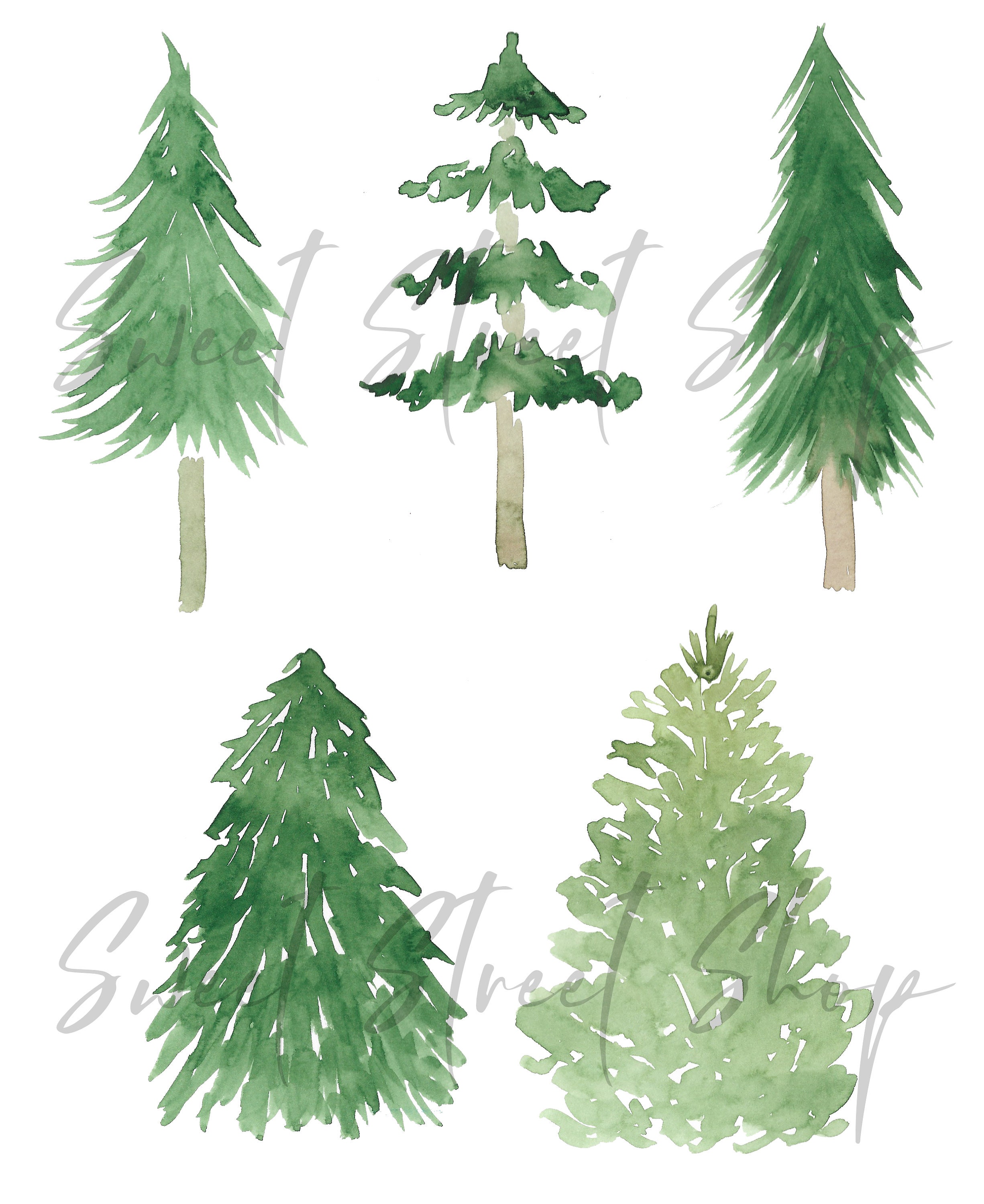 Pine Fir Trees Watercolor Handpainted Digital Clipart | Etsy