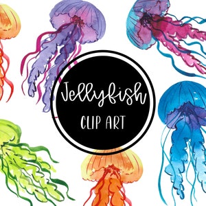Qualle ClipArt Aquarell handbemalt digitale Fisch Meer Clipart Karten kostenlos kommerzielle Nutzung PNG herunterladen