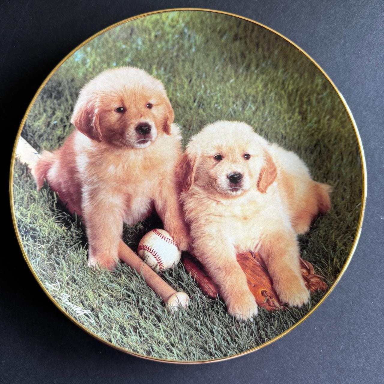 Royal Doulton Dog Plates - Etsy