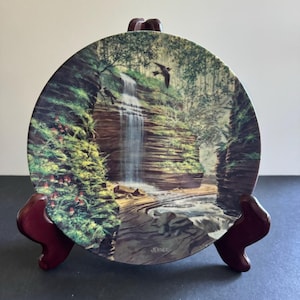May include: A round ceramic plate with a scenic image of a waterfall cascading down a rocky cliffside. The plate features a green and brown color scheme with a touch of red. The plate is on a wooden stand and has the word "JERNER" printed on the bottom.