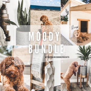 6 Mobile Lightroom Presets, Instagram Filters, Mobile Presets, Pupfluencer Presets, Small Business Presets, DNG Presets, Lightroom App