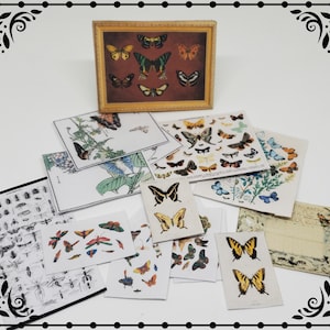 Butterflies Paper Set 1/12 Dollhouse Miniature Printable Digital Download