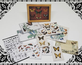 Butterflies Paper Set 1/12 Dollhouse Miniature Printable Digital Download