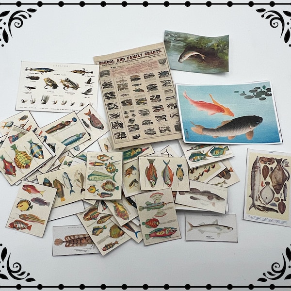 Fisch und Angeln Ichthyologie Set 1:12 Puppenhaus Miniatur druckbare digitaler Download