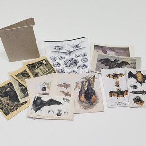 Bat Paper Set 1/12 Dollhouse Printable Digital Download image 3