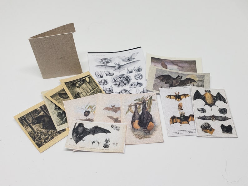 Bat Paper Set 1/12 Dollhouse Printable Digital Download image 3