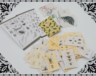 Entomology Paper Set 1/12 Dollhouse Miniature Printable Digital Download