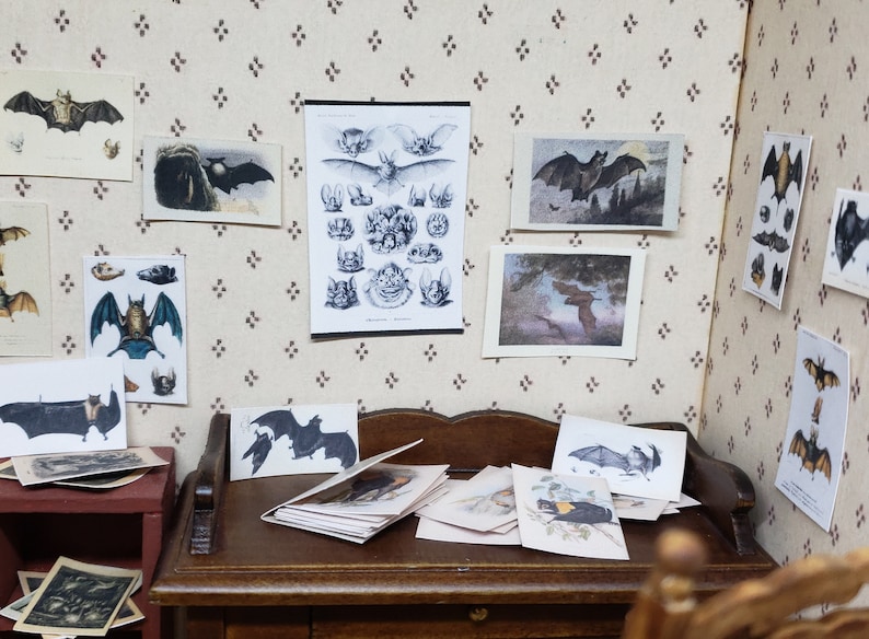 Bat Paper Set 1/12 Dollhouse Printable Digital Download image 4