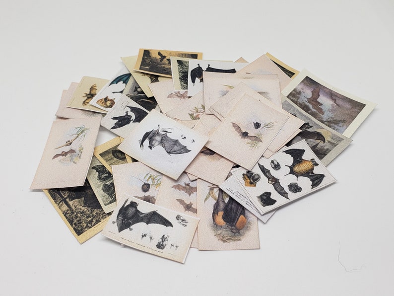 Bat Paper Set 1/12 Dollhouse Printable Digital Download image 2