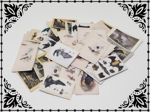 Bat Paper Set 1/12 Dollhouse Printable Digital Download