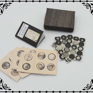 Pode incluir: Um conjunto de livros em miniatura e uma pequena caixa de madeira. Os livros têm capas pretas com texto branco que diz "The Miniature Book". A caixa é de madeira com um acabamento castanho escuro.