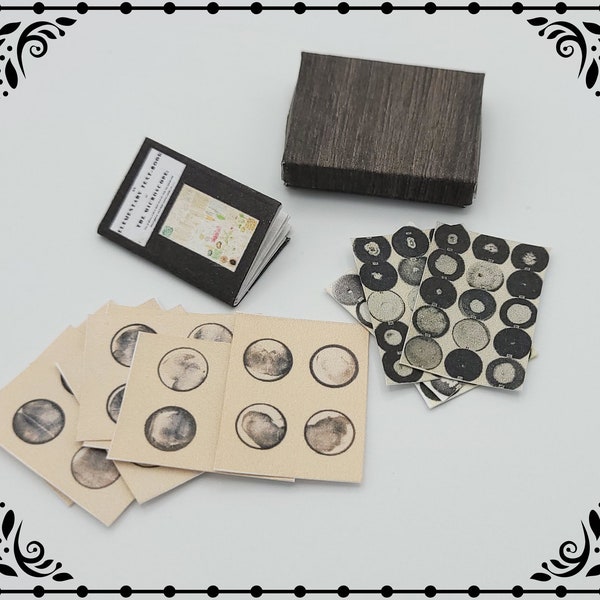 Microscope Slides Set 1/12 Dollhouse Miniature Printable Digital Download