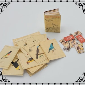 Vogelbeobachter Set 1:12 Puppenhaus Miniatur druckbare digitaler Download