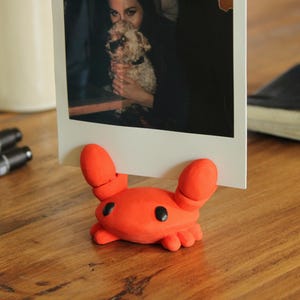 Polaroid granchio / Portafoto / Accessori / Regalo fotografico