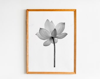 Photographie de fleurs, Art mural photographique, Impressions photographiques de la nature, Moderne neutre, Impressions noir et blanc, Art mural floral, Minimaliste