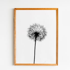 Dandelion photography, Photography wall art, Photography prints nature, Minimalist print, Neutral modern, Black and white prints, Floral art