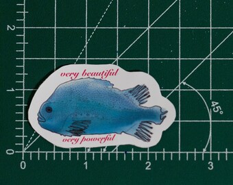 Lumpsucker Etsy