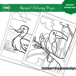 Rainforest Animals Coloring Pages Printable Animal Coloring ...
