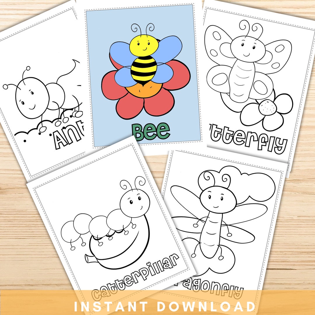 Insect Coloring Pages Printable Kids Coloring Pages Insect