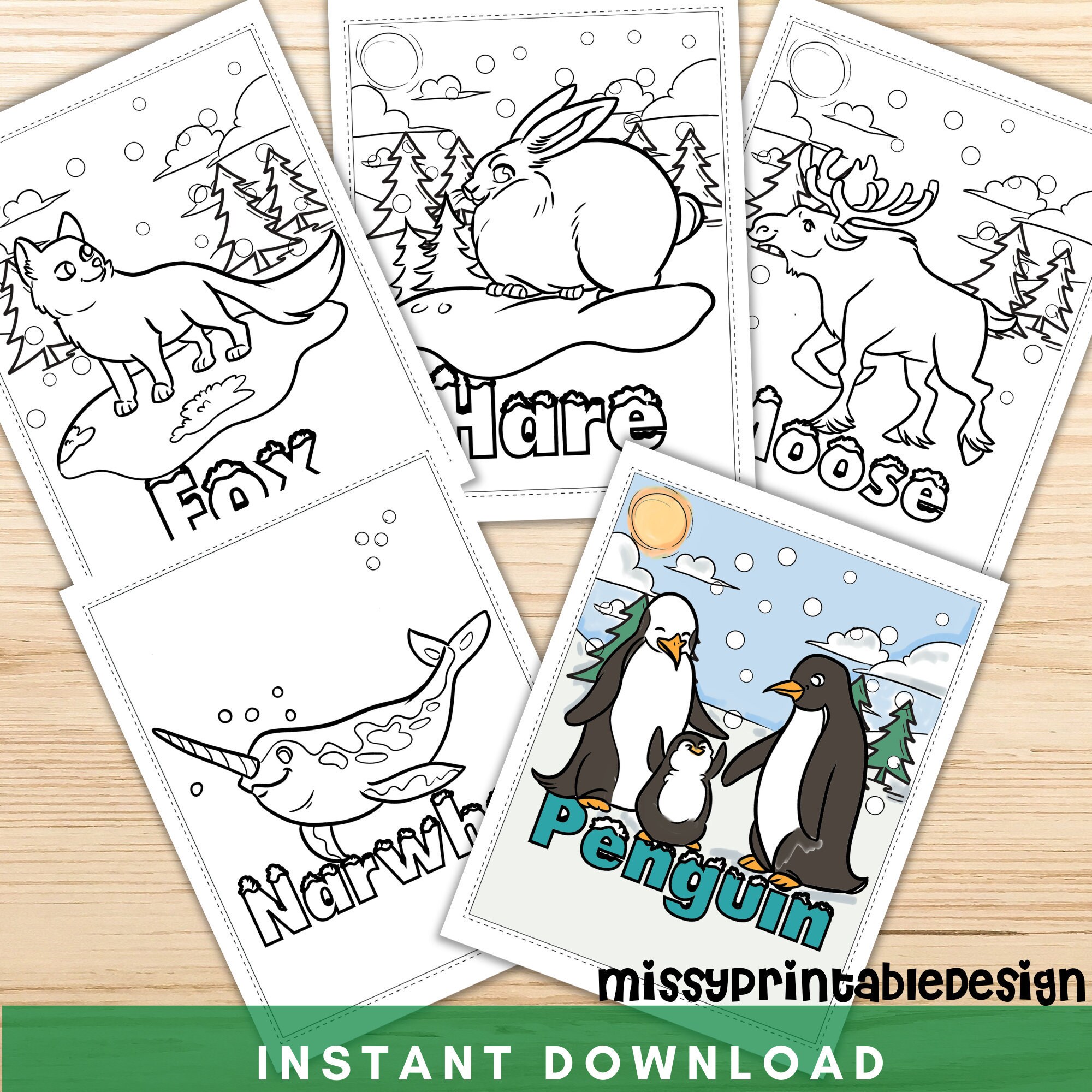 66 Arctic Animal Coloring Pages  Latest HD