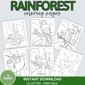 Rainforest Animals Coloring Pages, 13 Printable Designs (Instant Download)