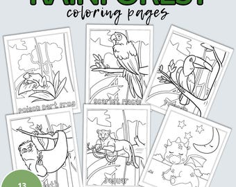 Rainforest Animals Coloring Pages, 13 Printable Designs (Instant Download)