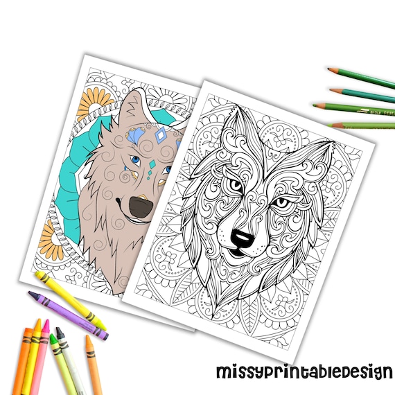 100 Mandalas Animaux - Livre de coloriage: Soulager les dessins d