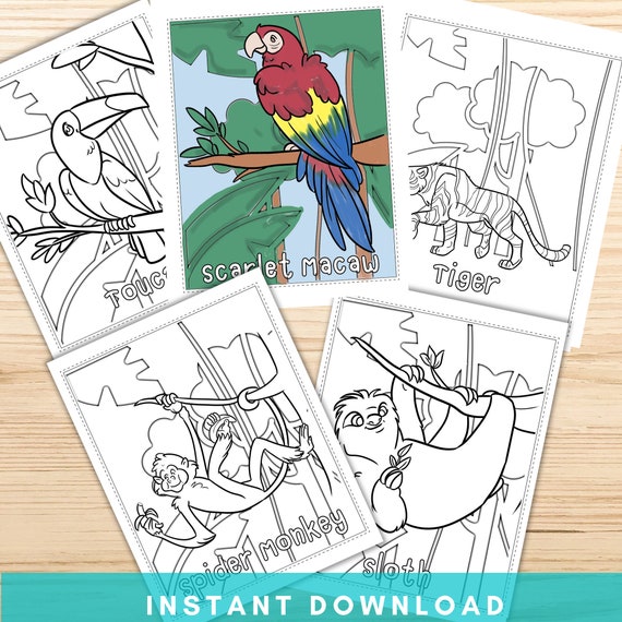 Rainforest Animals Coloring Pages Printable Animal Coloring - Etsy Australia Rainforest Animals Coloring Pages Printable Animal Coloring - Etsy Australia