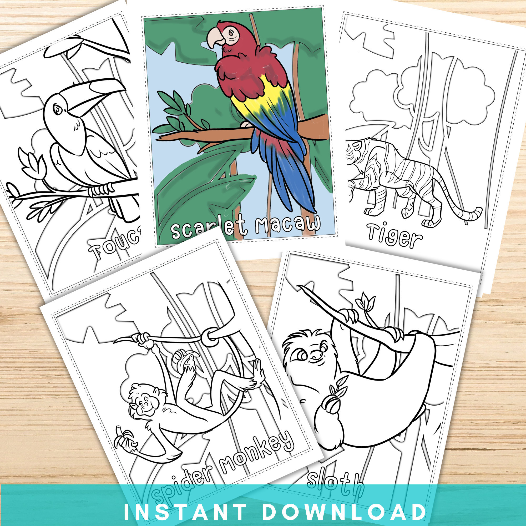Rainforest Animals Coloring Pages, Printable Animal Coloring Pages, Rainforest Animal Activity, Instant Download