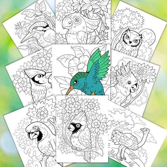 Bird Coloring Pages Printable Coloring Pages Downloadable
