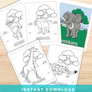 Armadillo Coloring Adults Printable Colouring Kids Totem Etsy
