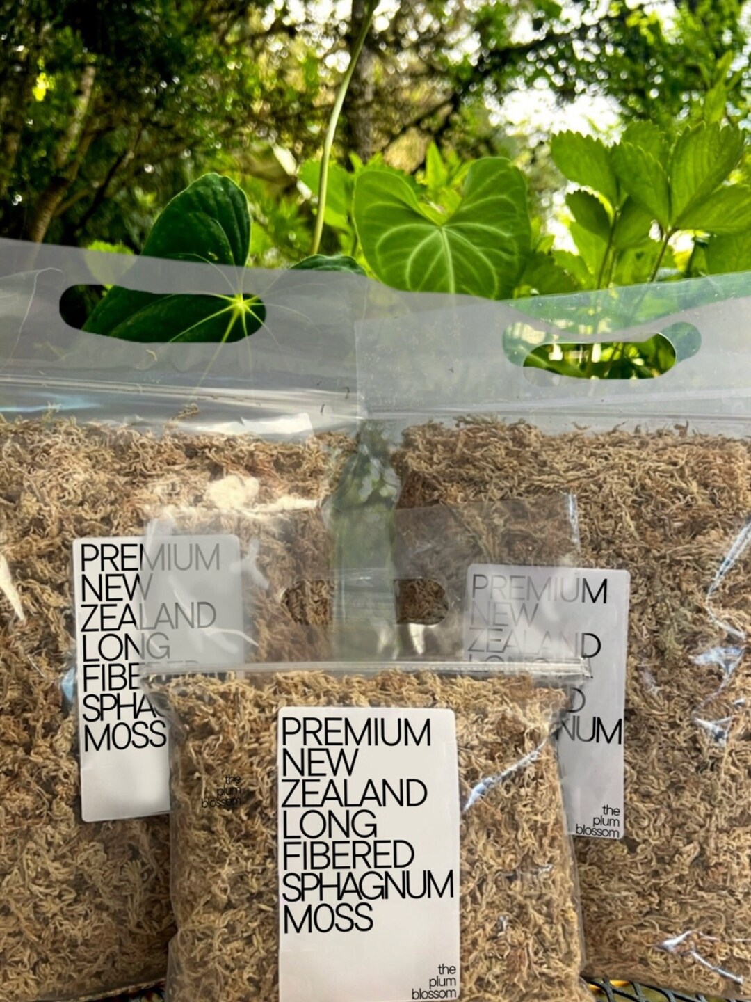 Sphagnum Moss Besgrow Moss Price Besgrow Premium New Zealand , 100g (8L ...
