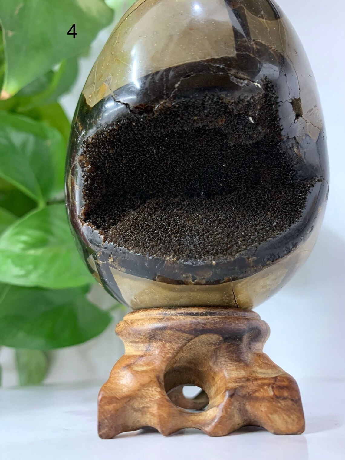 Septarium Cool stone Stone Gift. Dinosaur egg. Egg stone. Etsy