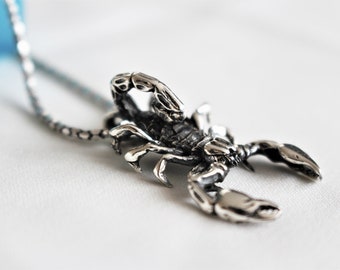Scorpion Necklace, Sterling Silver Scorpion Necklace, Zodaic Jewelry, Scorpion Necklace, Scorpion Pendant, Astrology Gift