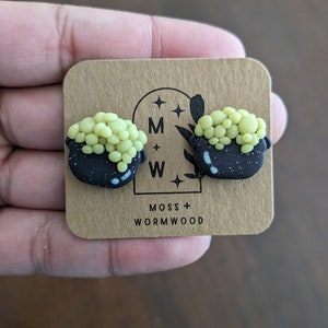 Peut inclure: Une paire de boucles d'oreilles noires et vertes en forme de chaudron avec des accents de mousse verte. Les boucles d'oreilles sont présentées sur une carte brune avec le texte "Moss + Wormwood".