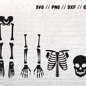 Puede incluir: Silueta en blanco y negro de un esqueleto con caja torácica, cráneo, brazos y piernas. Se incluyen los formatos de archivo SVG, PNG, DXF y EPS.