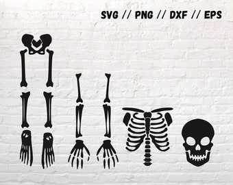 Skeleton Parts Svg, Skeleton Bundle Svg, Skeleton Parts Png, Skeleton Svg, Skull Svg, Skeleton Cut Files, Skeleton Bones Clipart svg