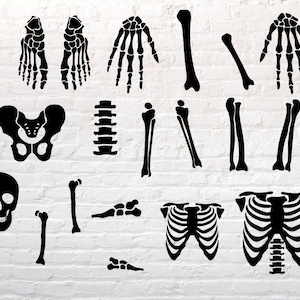 Skeleton Parts SVG, Skeleton svg, Halloween Skeleton Svg, Halloween svg, Body Parts Svg, Skeleton Cut Files, Skeleton Bones Clipart svg png