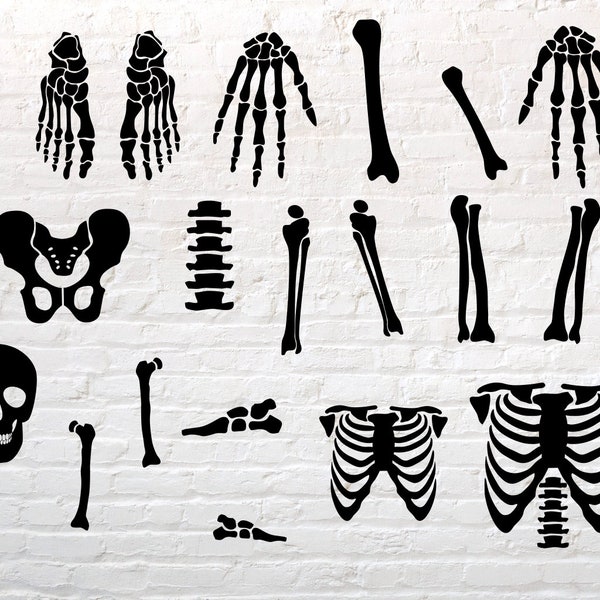 Skeleton Parts SVG, Skeleton svg, Halloween Skeleton Svg, Halloween svg, Body Parts Svg, Skeleton Cut Files, Skeleton Bones Clipart svg png