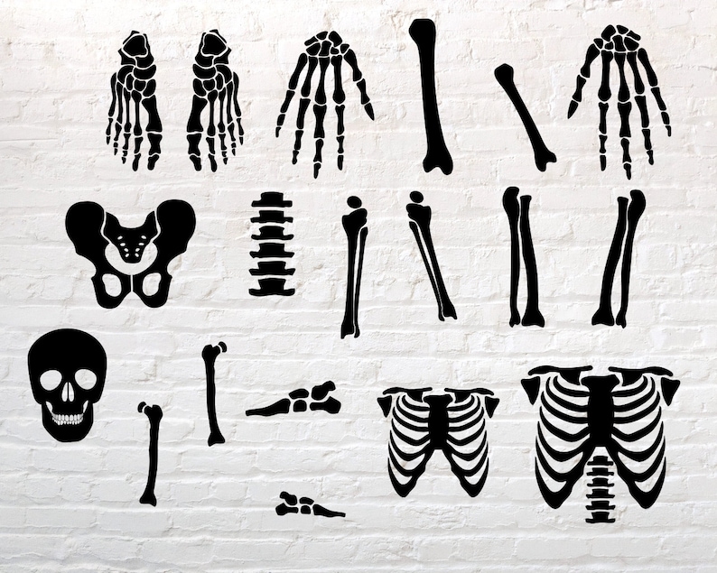 May include: Black and white silhouette illustrations of various human bones, including a skull, rib cage, pelvis, spine, and individual bones of the arms and legs.