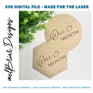 DIGITAL Baby Age Milestones File - Clean Design with Script Font - New Baby Gift - Baby Shower Gift