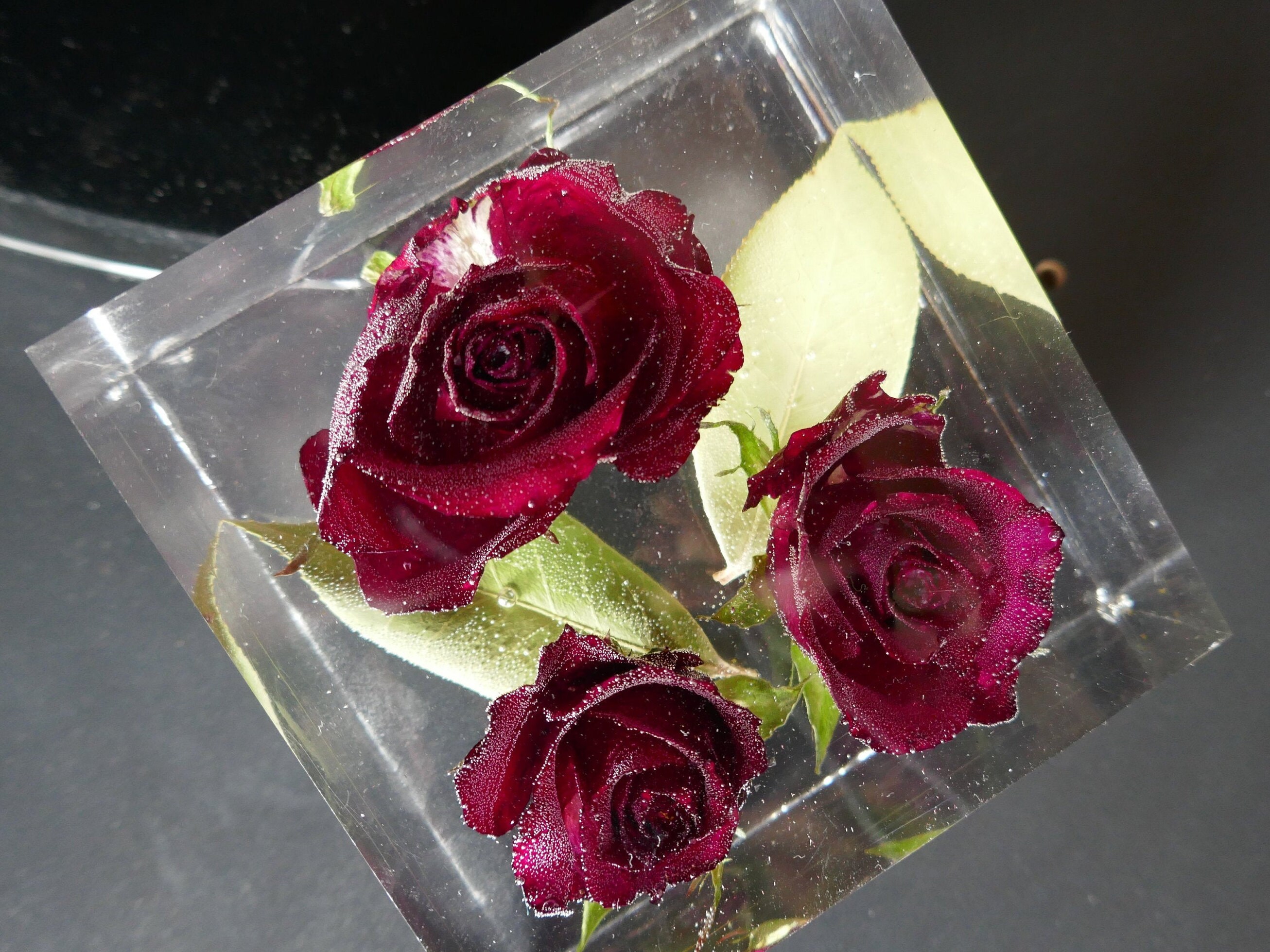 Red Roses in Resin Cube wedding gift funeral flower Etsy