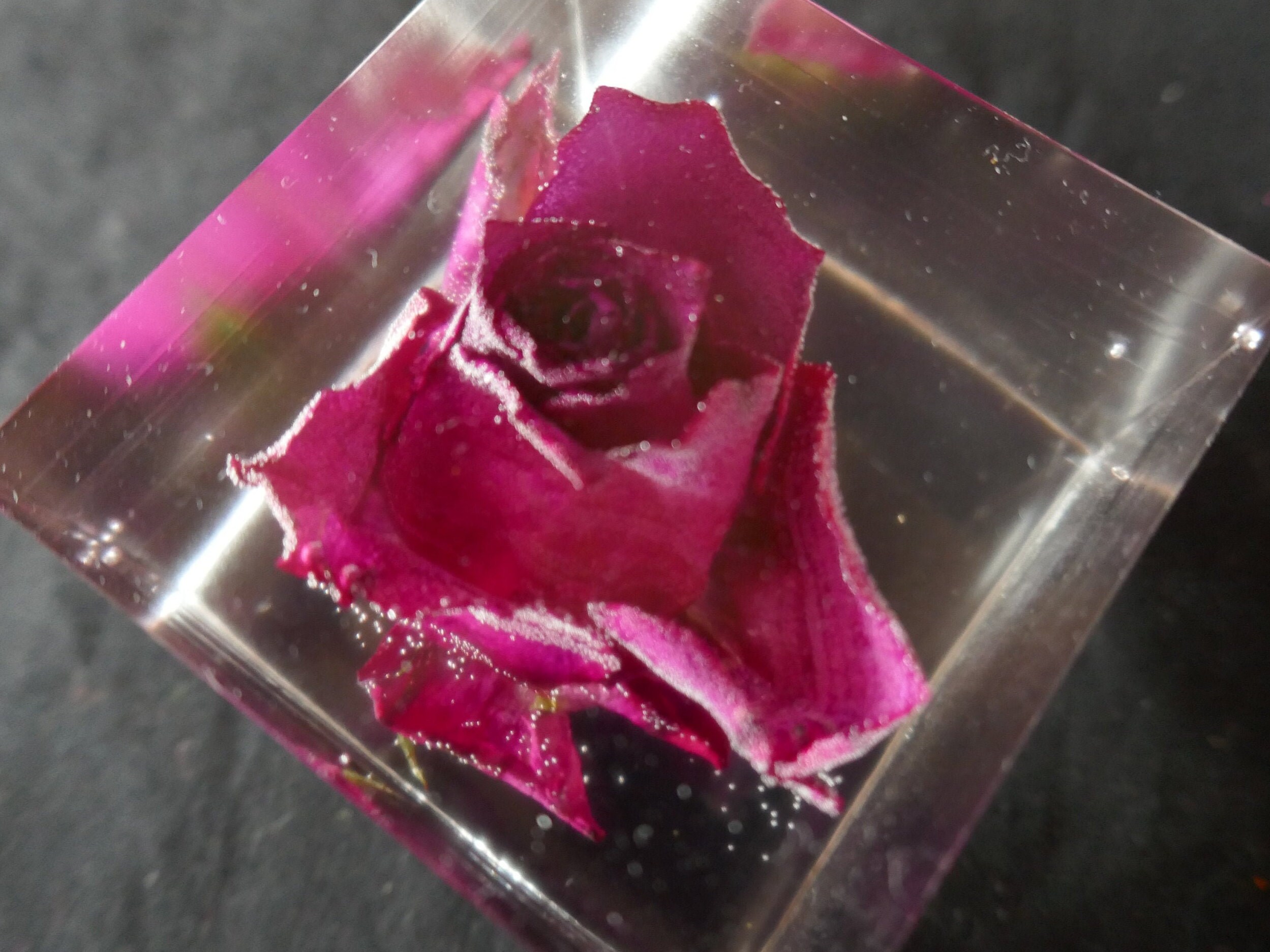 Red Rose in Resin cube keepsake flower memento single rose Etsy