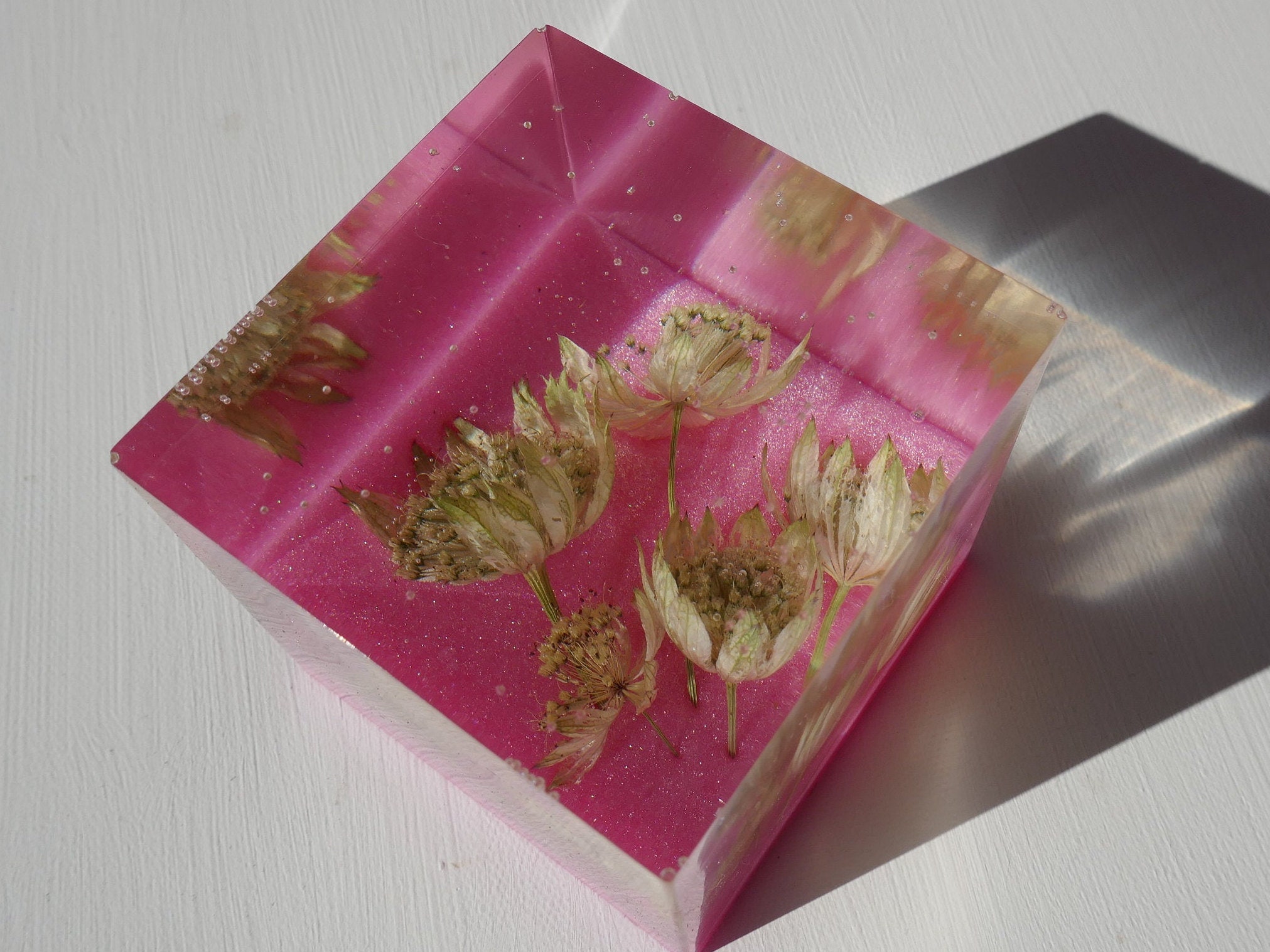 Resin Flower Cube Terrarium Display Garden Flower Cube Etsy