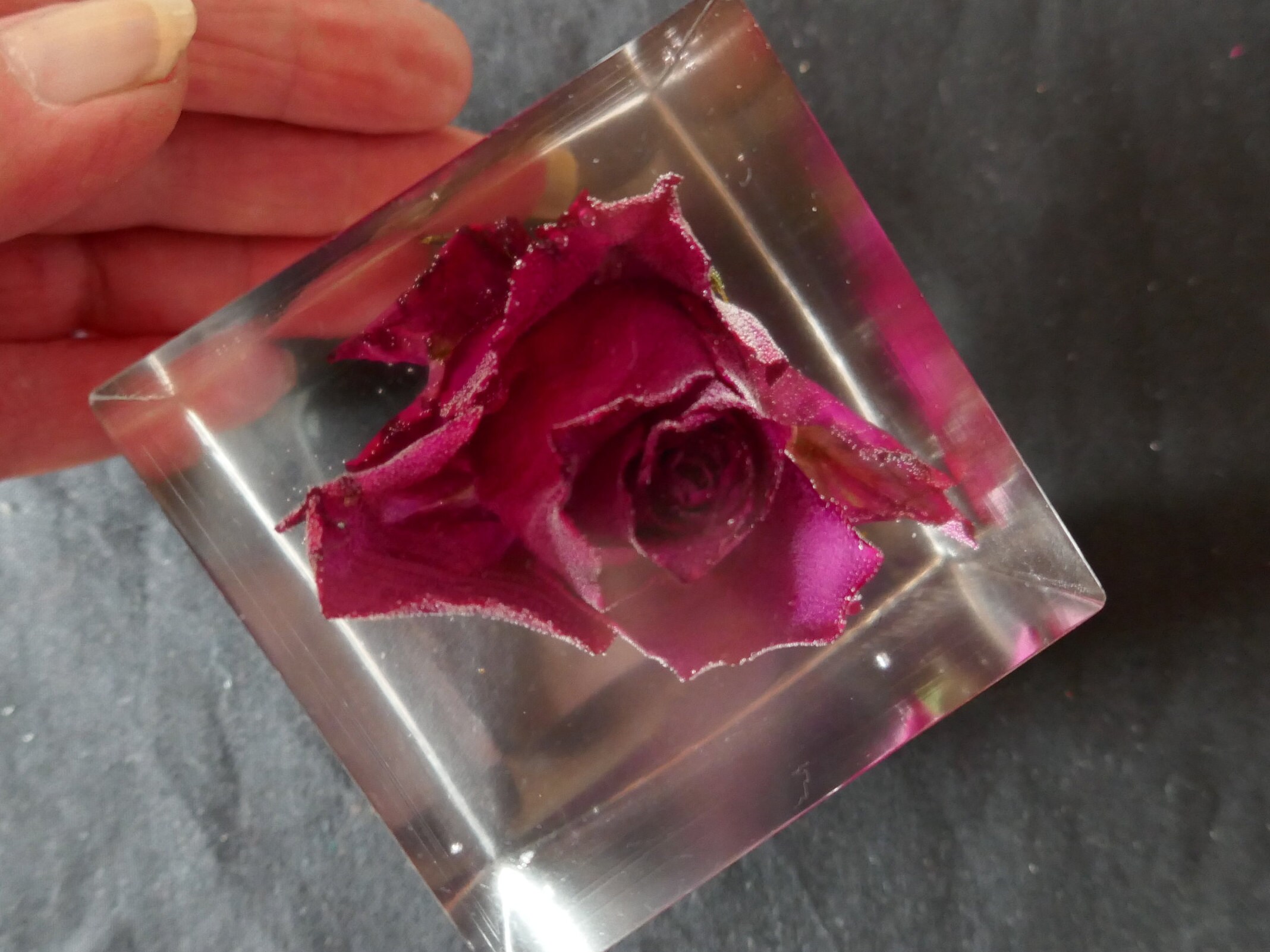 Red Rose in Resin cube keepsake flower memento single rose Etsy