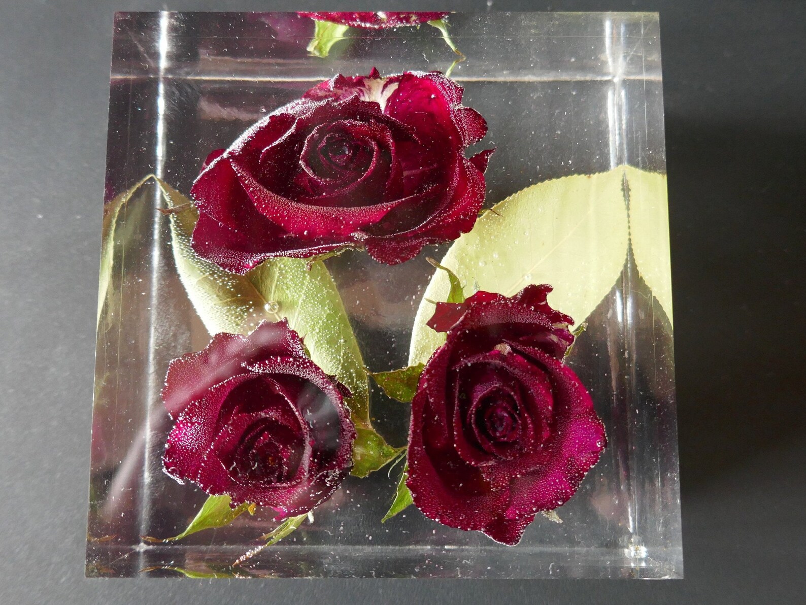 Red Roses in Resin Cube wedding gift funeral flower Etsy