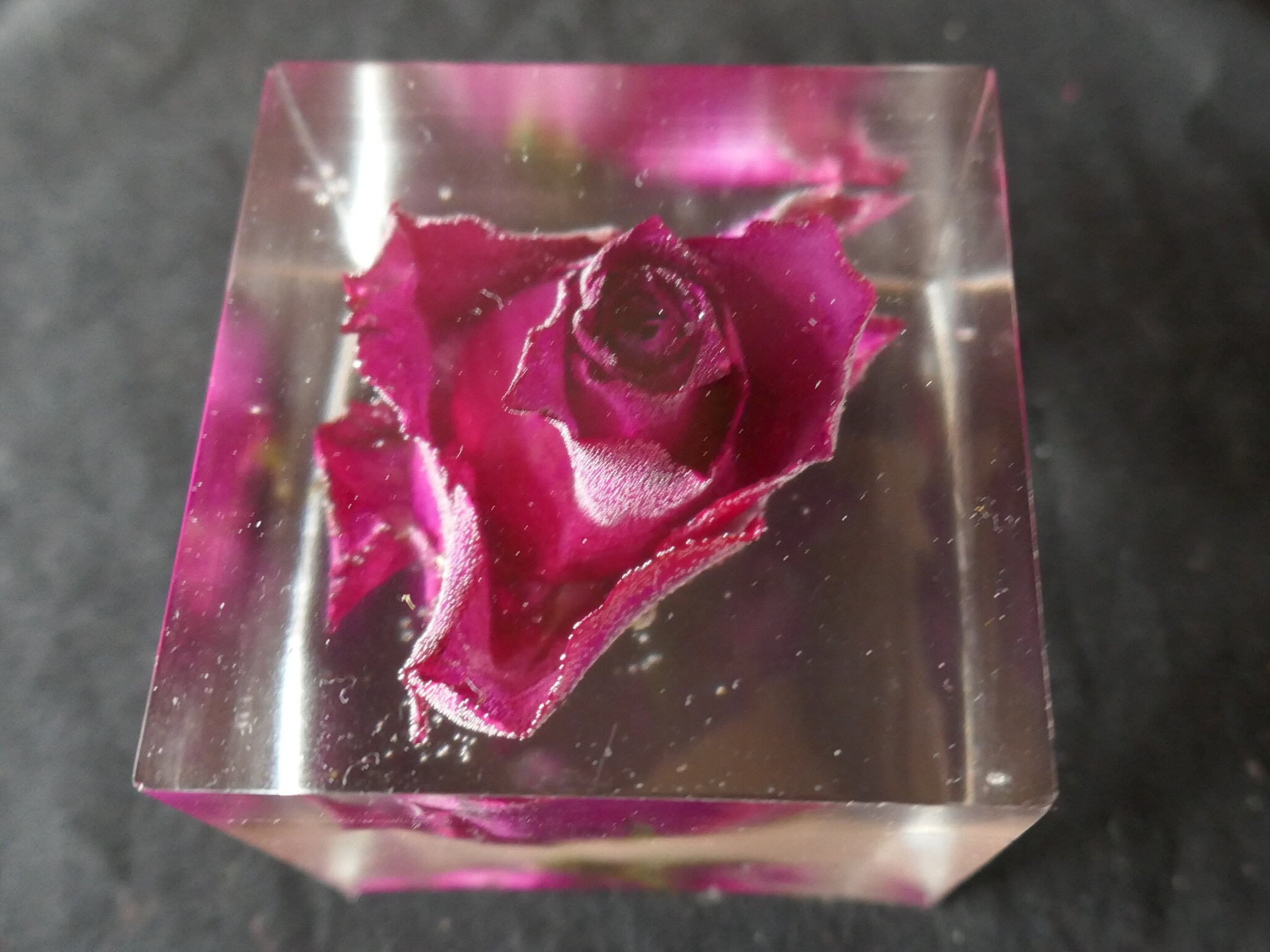 Red Rose in Resin cube keepsake flower memento single rose Etsy